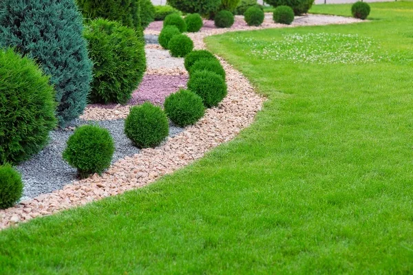 Bush Trimming Bush Trimming