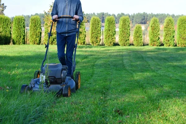Lawn Mowing Service Lawn Mowing Service