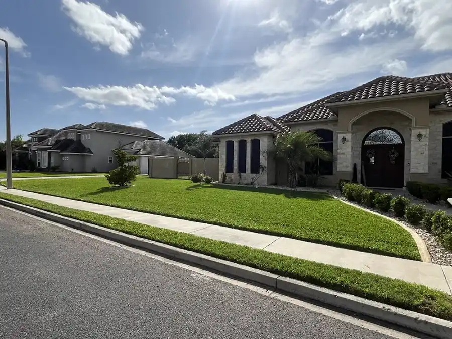 Professional Landscaping Contractor in Mission TX